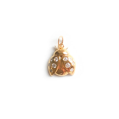 Ladybug Charm