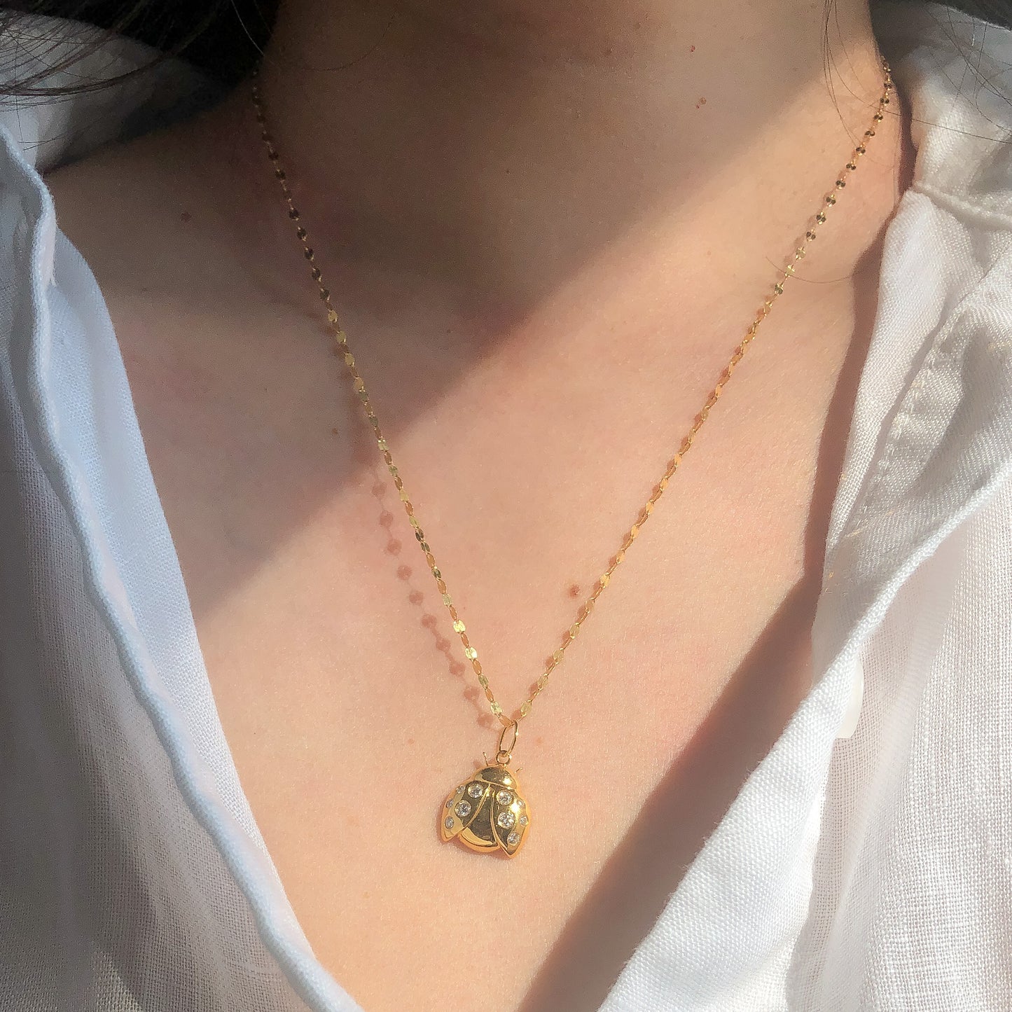 Ladybug Charm